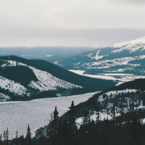 Utsikt över skog, fjäll och vatten.