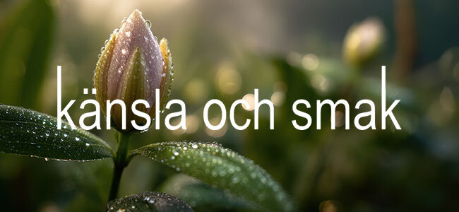 Känsla och smak, mode för kvinnor mitt i livet - vardag som fest!