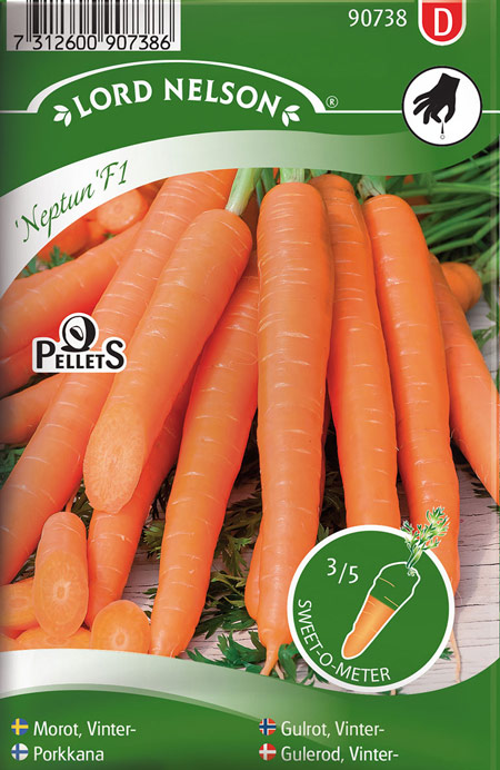 0905026 DAUCUC carota L Porkkana 'Neptun' F1