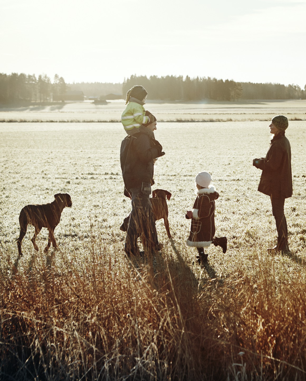 Barnfamilj och två hundar på frostbeklätt öppet fält.