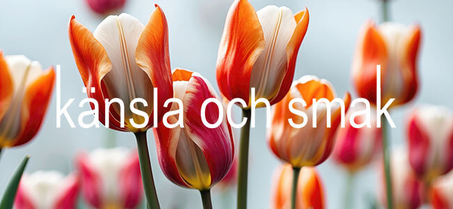 Känsla och smak, mode för kvinnor mitt i livet - vardag som fest!