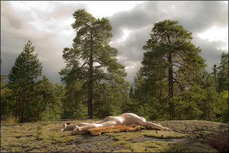 Calle på björnfäll