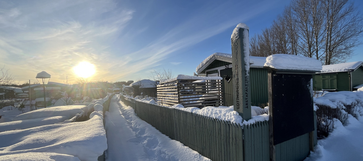 Koloniträdgårdstidningen