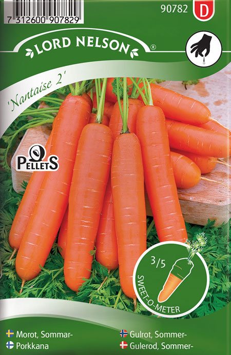 0905027 DAUCUC carota L Porkkana 'Nantaise 2'
