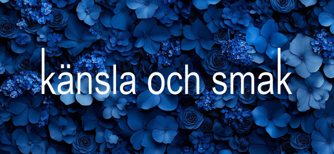 Känsla och smak, mode för kvinnor mitt i livet - vardag som fest!