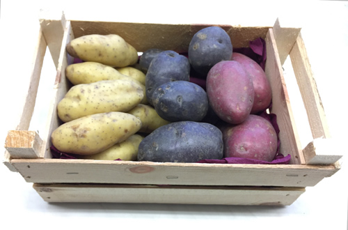 1601012 SOLANUM tuberosum Matpotatis, Gourmetförpackning / PresentRuokaperuna - gurmeeperunoita / lahjapakkaus
