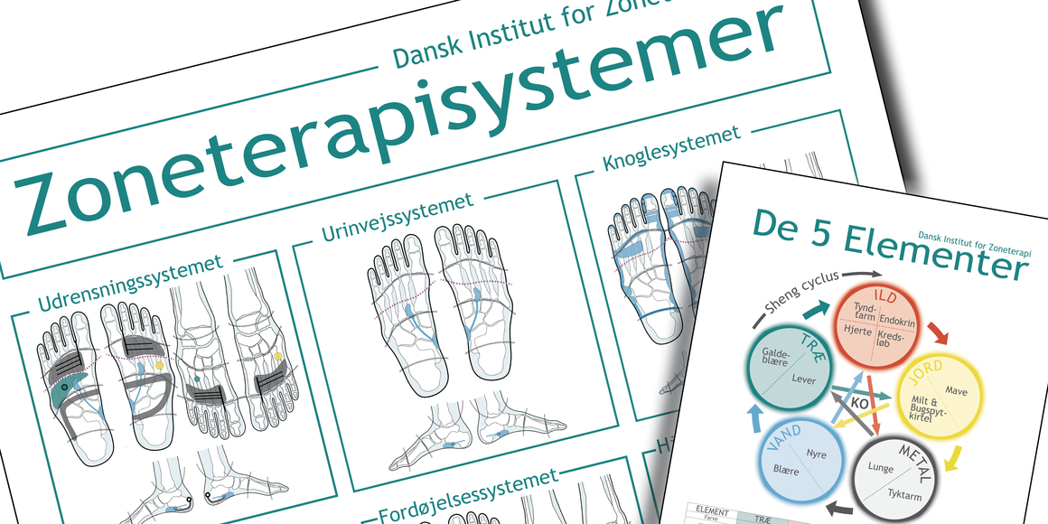 Plakater: Zoneterapisystemer, De 5 Elementer, Organuret