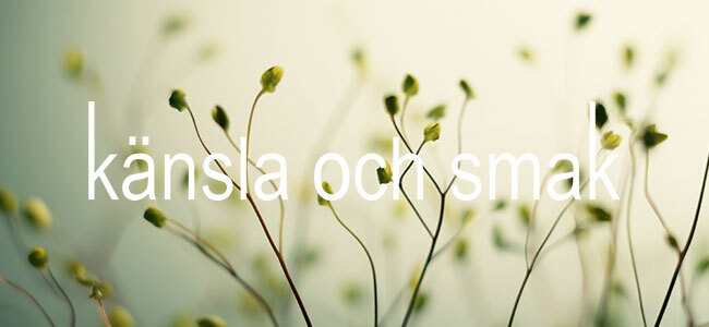 Känsla och smak, mode för kvinnor mitt i livet - vardag som fest!