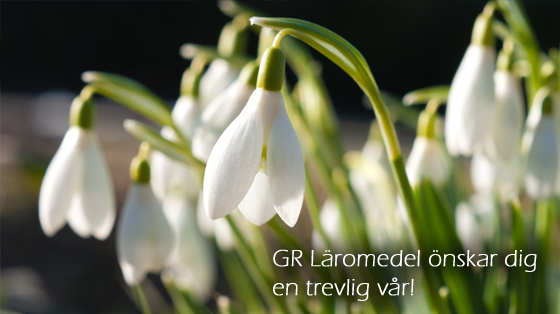 GR Läromedel