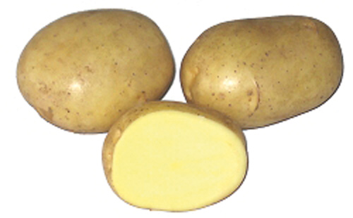 1200052 Siemenperuna Melody 3 kg
