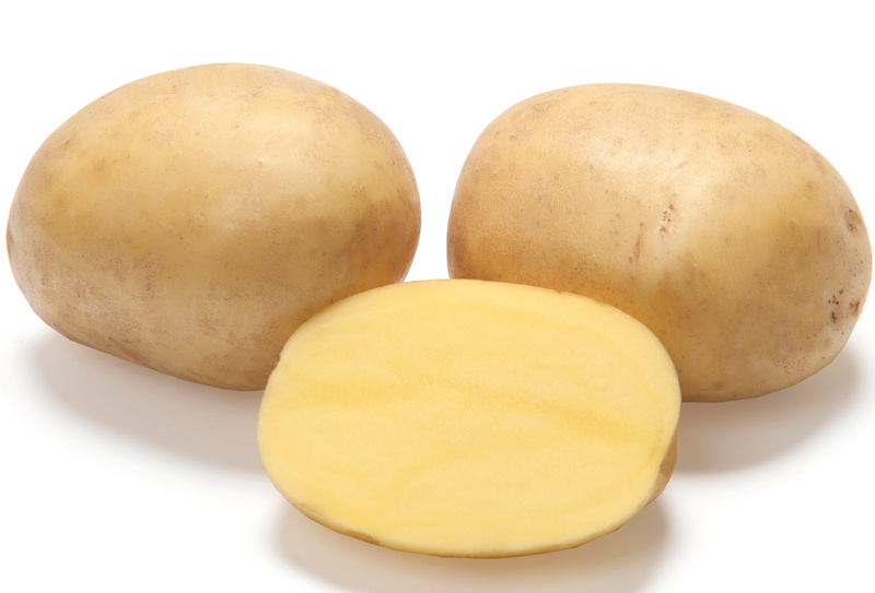 1200013, 1200007 Siemenperuna Noblesse 5 kg ja 2,5 kg