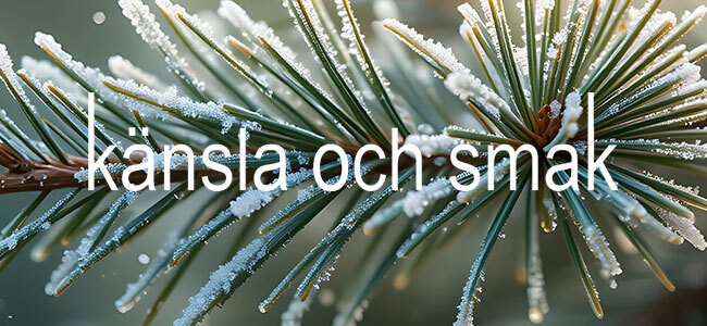 Känsla och smak, mode för kvinnor mitt i livet - vardag som fest!