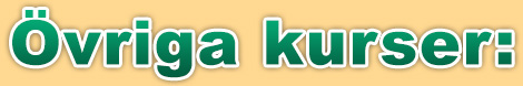Övriga kurser: