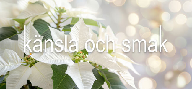 Känsla och smak, mode för kvinnor mitt i livet - vardag som fest!