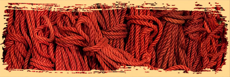 Kinky Passion – rep