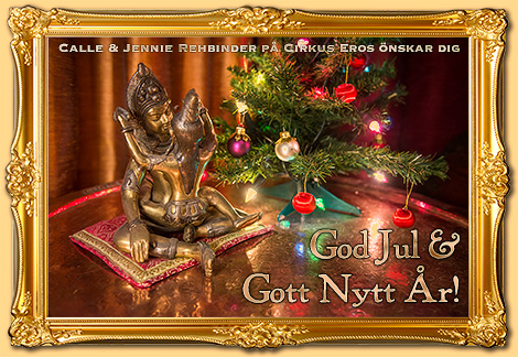 God Jul & Gott Nytt År!