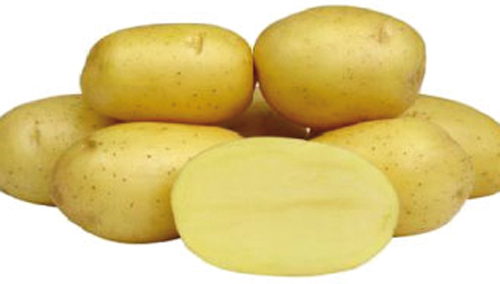 1200061