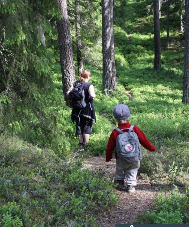 Vandring i skog. Fotograf: Åsa Wistrand