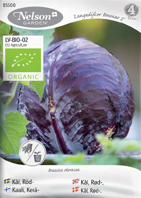 0903060 BRASSICA oleracea Punakaali 'Langedijker Bewaar 2'