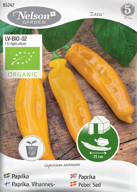 0999046 CAPSICUM annuum Vihannespaprika, ruokapaprika 'Zazu'