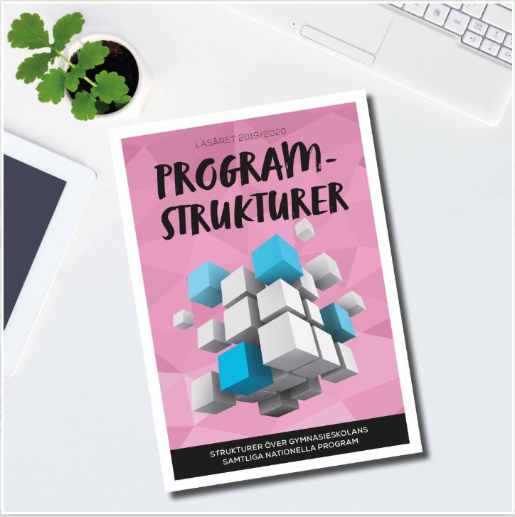 Programstrukturer