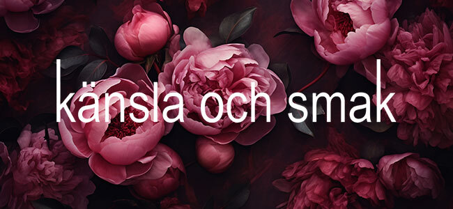 Känsla och smak, mode för kvinnor mitt i livet - vardag som fest!