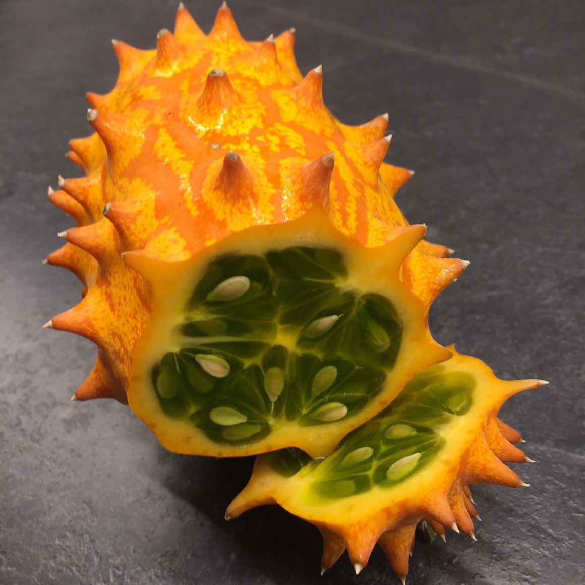 0911005 CUCUMIS metuliferus Kivakurkku